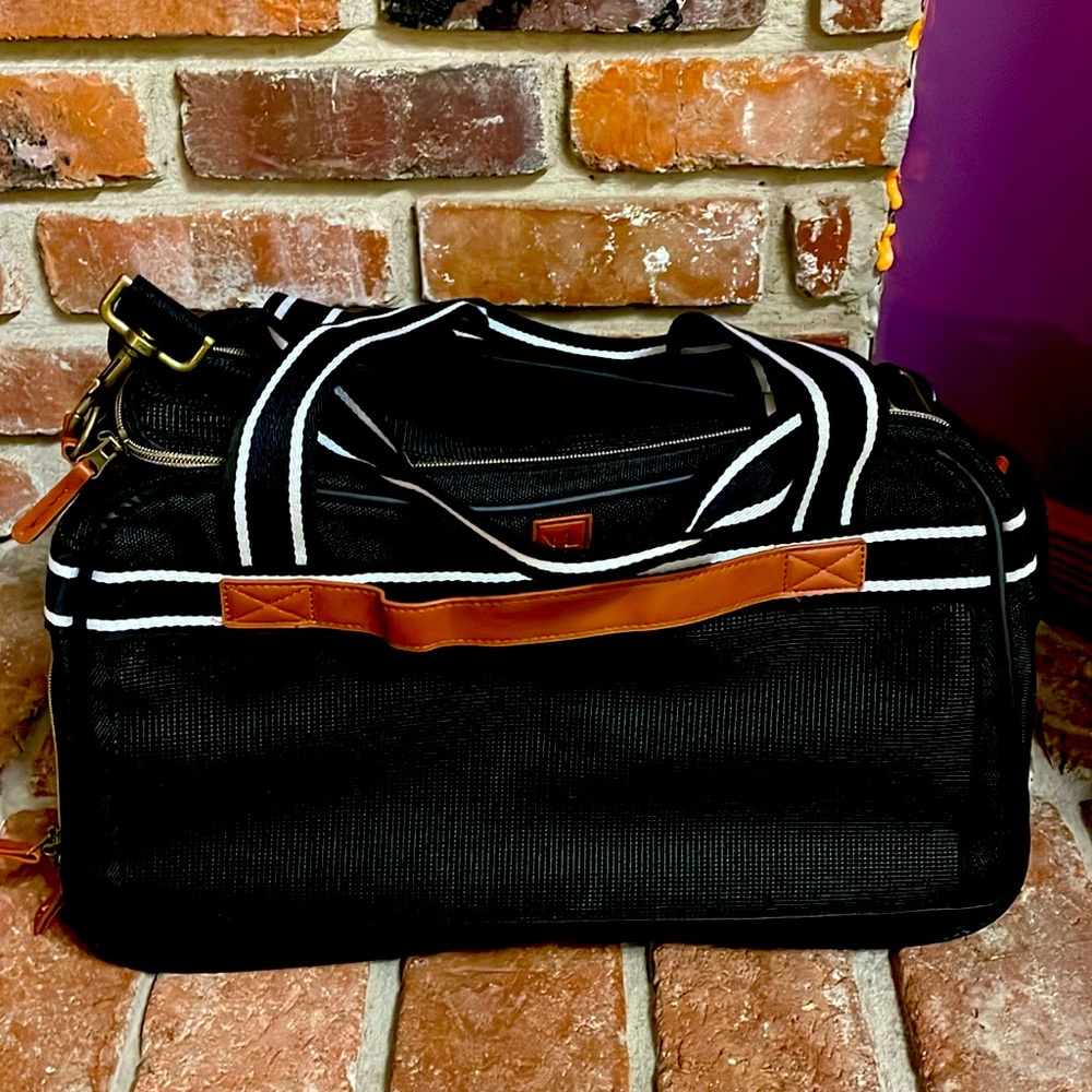 Small Pet Travel Carrier Bag